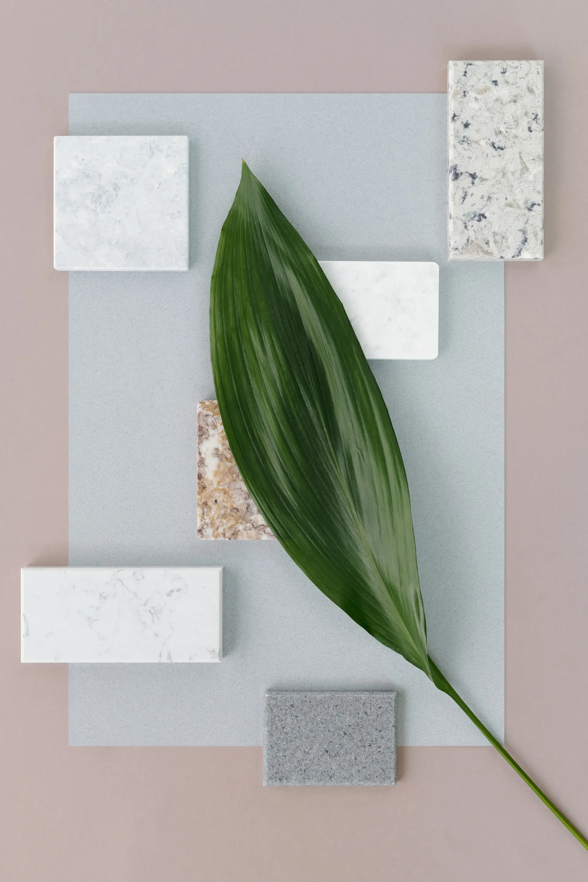 Natural honed marble tiles and botanical styling detail